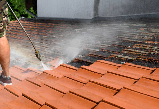 Best Residential Pressure Washing Services  in Albany, GA