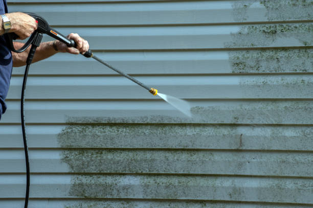 Best Pressure Washing Driveway  in Albany, GA