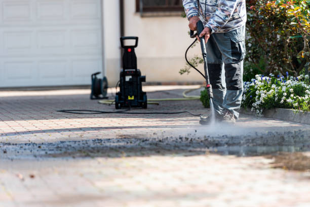 Best Roof Pressure Washing  in Albany, GA